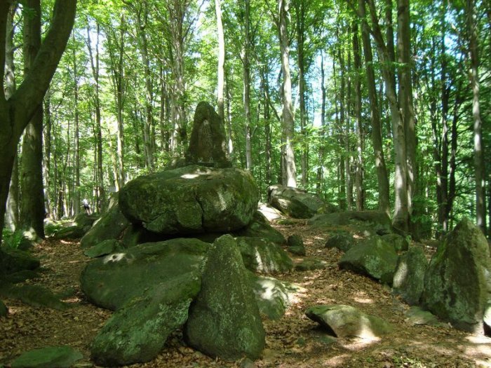 Kameny - menhiry u Medvědí kaple